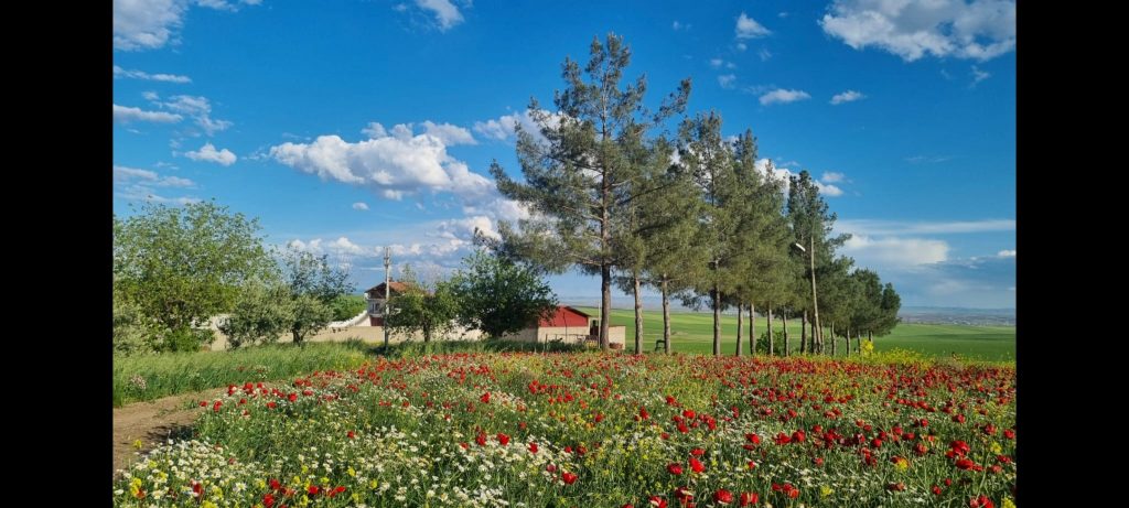 kalaylioglu-ziraat-foto-galeri-bizden-goruntuler (41)